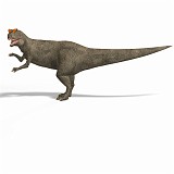 Allosaurus 14 A_0001